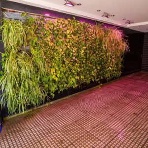 Alternative view of Catamarca 1763