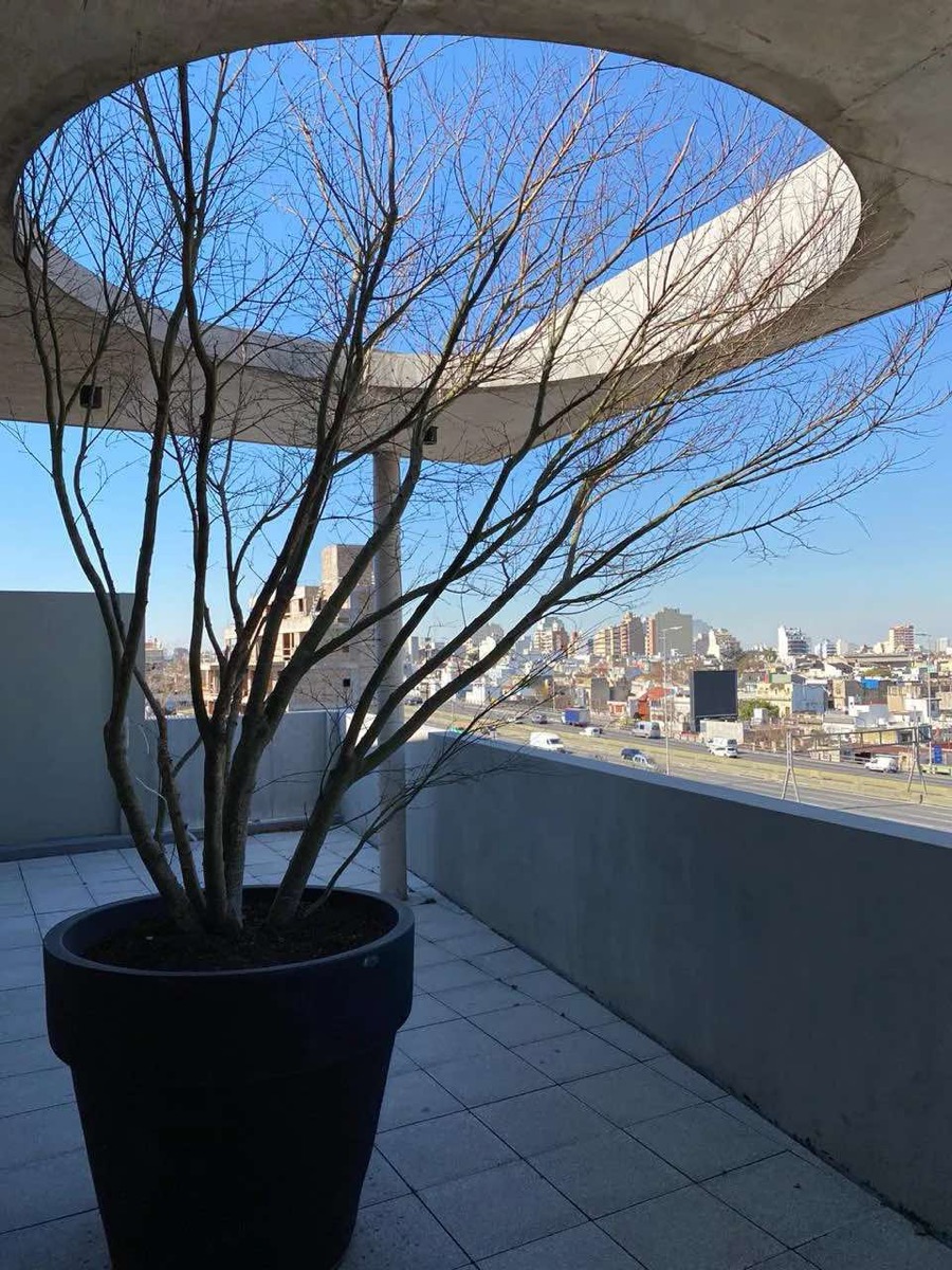 Cochabamba 4289 - Imagen 7