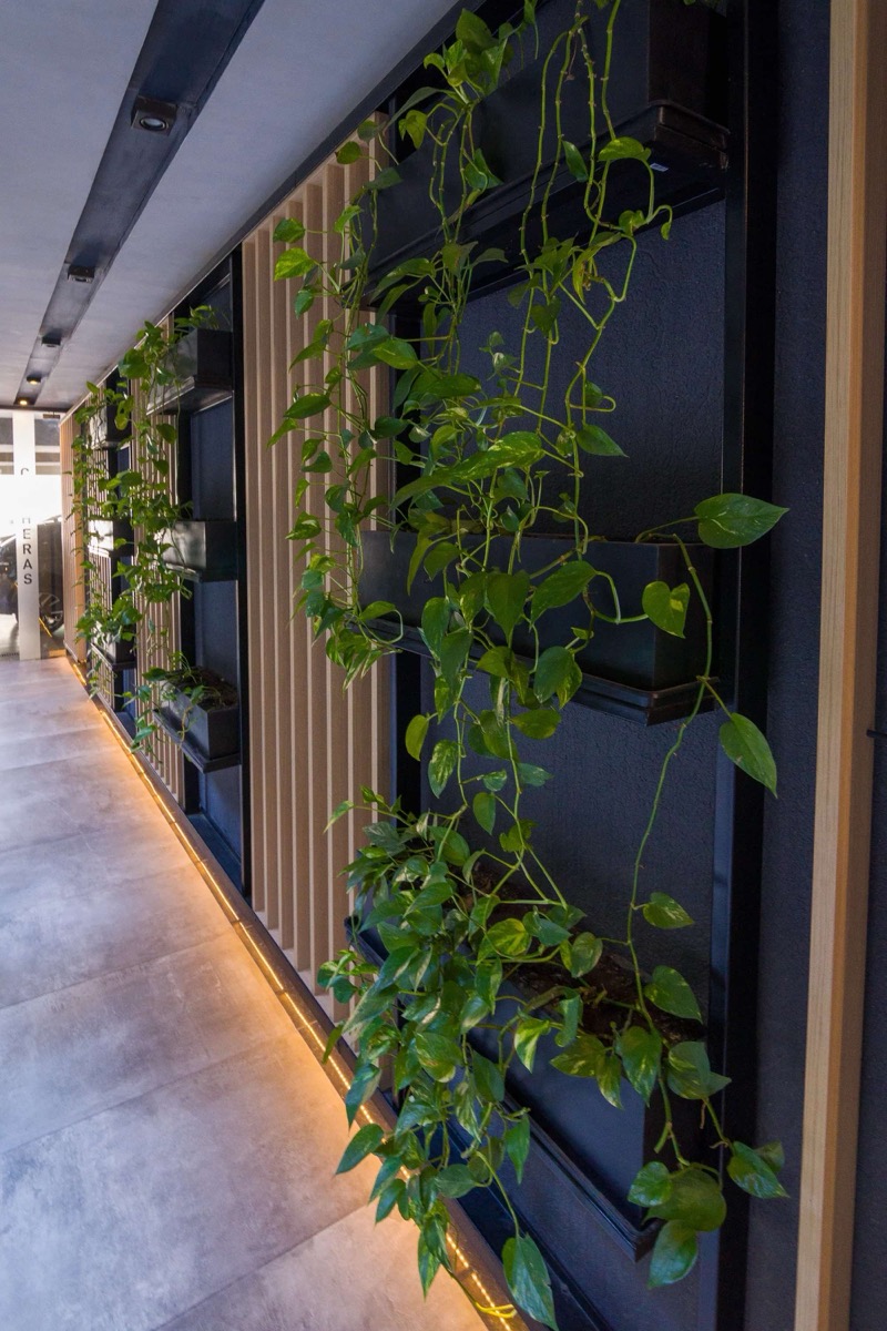 La Rioja 1561 - Imagen 5